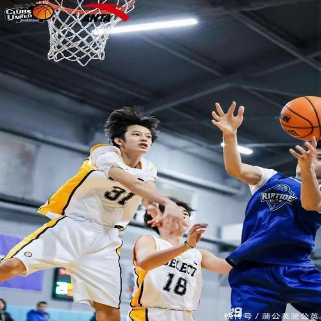 电竞季后赛战术变化与阵容视角探讨